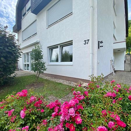 Neu: Ferienwohnung Zum Nussbaum - Landhausstil & Moseltalblick Traben-Trarbach Exteriör bild